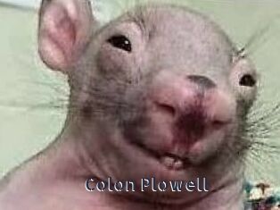 Colon_Plowell