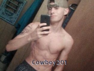 Cowboy201