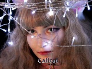 Calicat