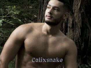 Calixsnake