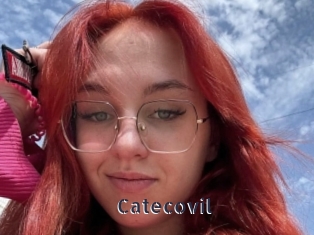 Catecovil
