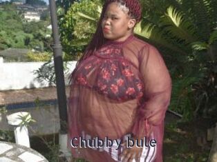 Chubby_bule