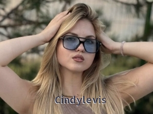 Cindylevis