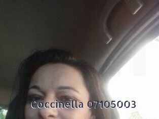 Coccinella-07105003