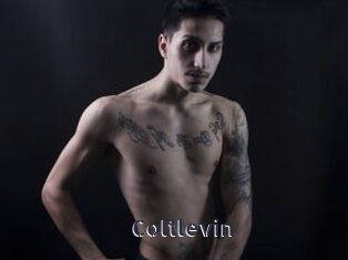 Coltlevin