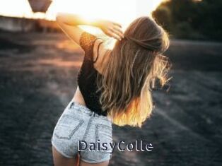 DaisyColle