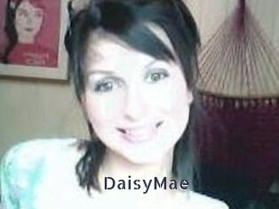 Daisy_Mae