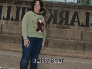 Daisy_Bear