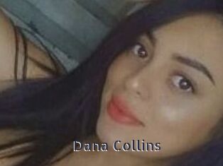 Dana_Collins