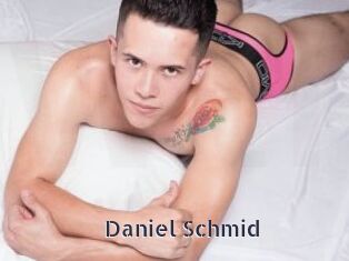 Daniel_Schmid