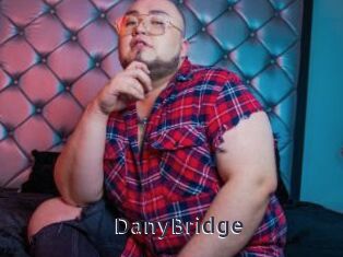 DanyBridge