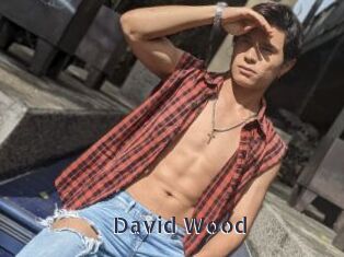 David_Wood