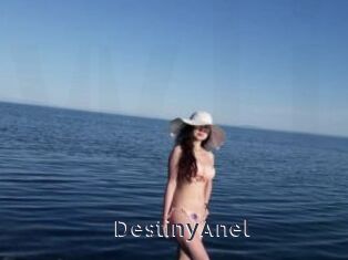 DestinyAnel