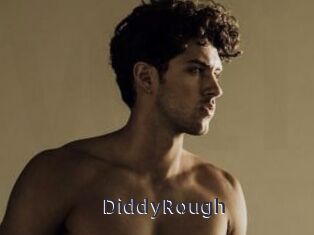 DiddyRough