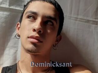 Dominicksant