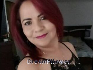 DreamFllower