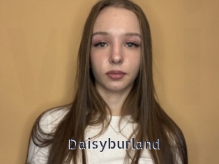 Daisyburland