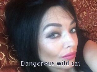 Dangerous_wild_cat