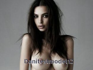 Danitestmodel12