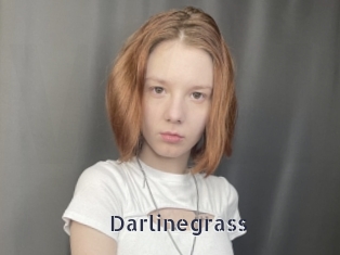 Darlinegrass