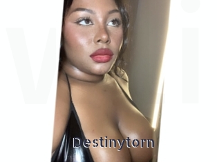 Destinytorn