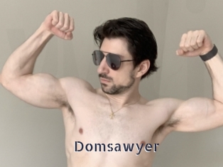 Domsawyer