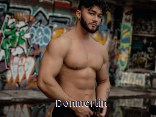 Donmerlin