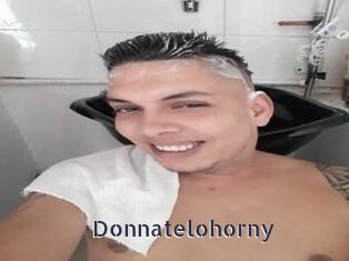 Donnatelohorny