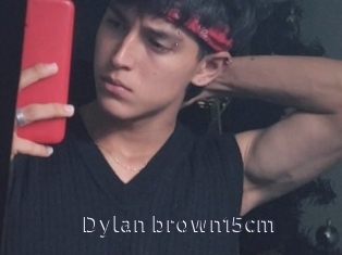 Dylan_brown15cm