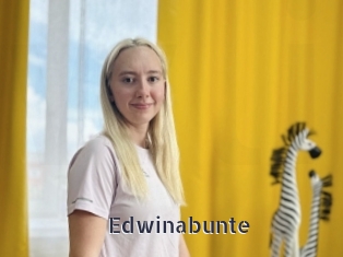 Edwinabunte
