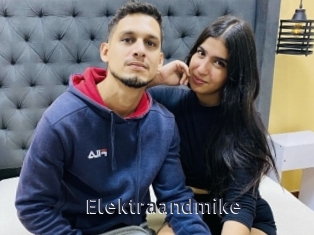 Elektraandmike