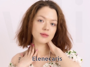 Elenecaris