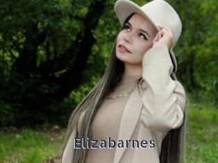 Elizabarnes