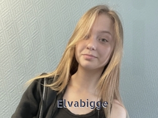 Elvabigge