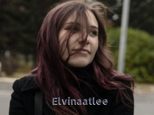 Elvinaatlee