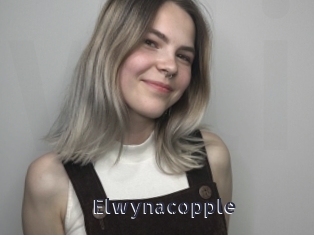 Elwynacopple