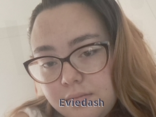 Eviedash