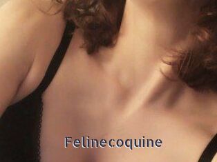 Felinecoquine