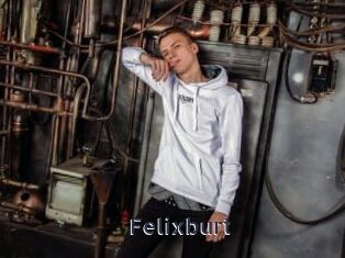 Felixburt