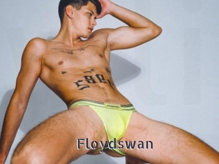 Floydswan