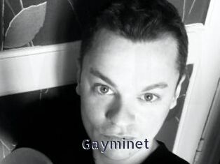 Gayminet