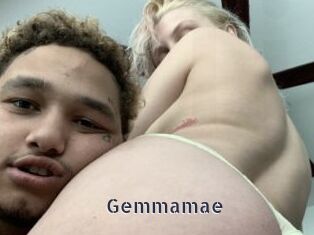 Gemmamae