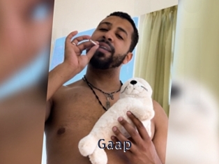 Gaap