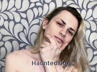 HauntedDog