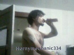 Hornymechanic334