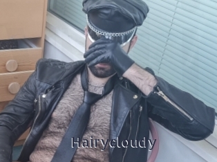 Hairycloudy