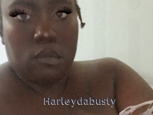 Harleydabusty