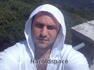 Haroldspace