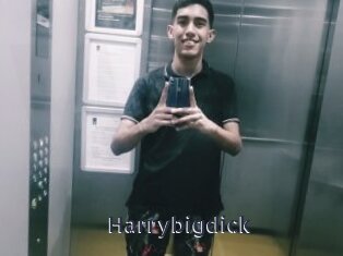 Harrybigdick