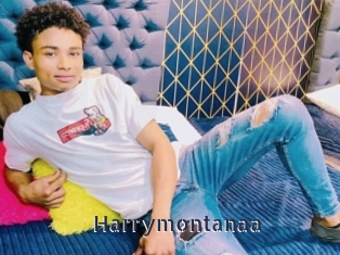 Harrymontanaa
